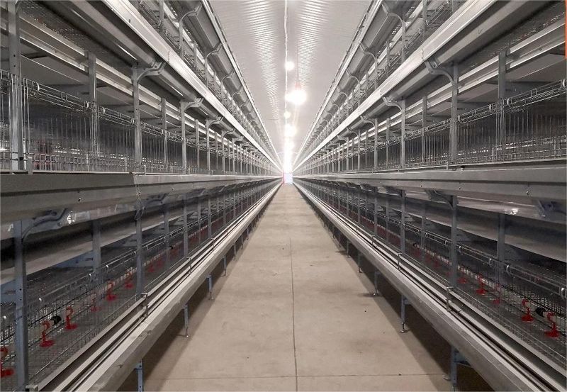 肉鸡硬件设备图