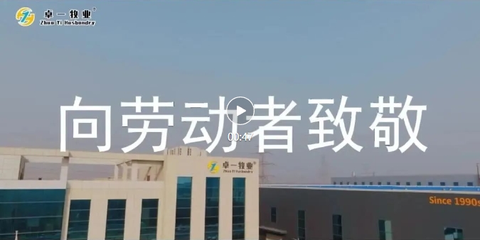 五一劳动节 | 致敬每一个努力奋斗的卓一人