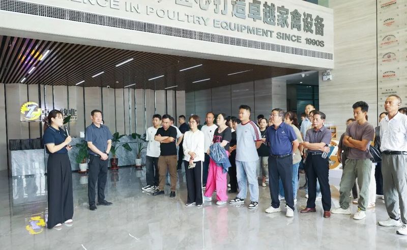 图片7